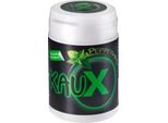 KAUX Zahnpflegekaugummi Peppermint mit Xylitol 40 St