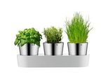 WMF Kräutertopf-Set Gourmet silber, 3 St., 5-tlg.