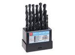 Levior Set Di Punte Hss 1-10 Mm (0,5 Mm Ciascuna) 19 Pezzi In Plastica