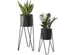 Supporto Per Piante 'Hedera' In Set Da 2 In Metallo Nero