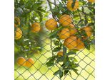 Jiubiaz Uccelli Protezione Rete Stagno 6X10M Albero Da Frutto Rete Giardino Rete Piscina Rete Uccelli Repellente, Foglia Rete Robusta 20X20Mm