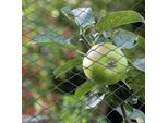 Jiubiaz Uccello Protezione Rete Stagno Rete 8X8M Albero Da Frutto Rete Giardino Rete Piscina Rete Uccello Repellente, Foglia Rete Robusta 20X20Mm