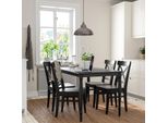 DANDERYD / INGOLF Tisch und 4 Stühle