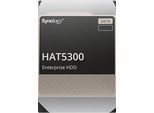 SYNOLOGY interne HDD-Festplatte HAT5300 16TB Festplatten Gr. 16 TB, schwarz Festplatten