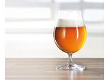 Spiegelau 6-Teiliges Biertulpen-Set Beer Classics 4991884