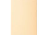 Exacompta 410002E Copertina Exacompta Forever 250, Din A4, Scamosciato