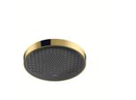 Hansgrohe Kopfbrause Rainfinity 250 1Jet Deckenmontage Pgo, 26228990 26228990