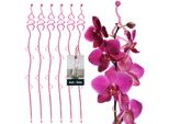 Kotarbau® Set Di 6 Supporti Per Piante Rosa Pvc 55 Cm Abete Supporto Per Fiori Ausilio Per L'arrampicata Piante Da Interno Supporto Per Fiori Giardino Orchidea Asta Di Supporto Piante Supporto Decorativo Per Piante Da Interno Aste Per Arrampicata Piante