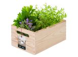 Kotarbau® Cassa Di Legno Piccola Senza Coperchio Casse Di Legno Con Manici Universale 30X20X14 Cm Cassa Di Legno Cassa Di Stoccaggio Legno | Cassa Di Legno Senza Coperchio Cassa Di Legno Con Manico Cassa Di Verdure