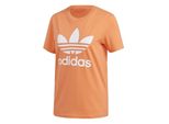 Adidas Magliette Trefoil Tee, FM3295, Taglia: 158