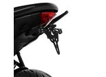 Porta Targa Zieger Pro Compatibile Con Triumph Tiger Sport 660