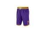 Pantaloni Nike Nba Los Angeles Lakers DH9175504