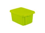 Curver Essentials 16L Contenitore Con Coperchio / Verde
