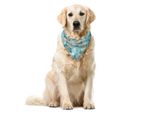 Abakuhaus Bandana Per Animali Domestici Con Fiori, Disegno Astratto Con Rose, 55X55 Cm, Blu Mare Multicolore