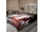 Abakuhaus Lenzuolo Torre Eiffel, Uomo Su Bicicletta Retrò Accanto Alla Torre Eiffel Parigi Francia Dramatic Sun, Morbido E Confortevole Lenzuolo Superiore Per Un Letto Decorativo 1 Pezzo 190 Cm X 100 Cm, Nero Grigio Rosa