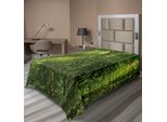 Abakuhaus Lenzuolo Rainforest, Sun Splendente Nella Foresta Tropicale Avventura Escursionismo Ambiente Remoto Dense Verde, Morbido E Confortevole Lenzuolo Superiore Per Un Letto Decorativo 1 Pezzo 260 Cm X 168 Cm, Verde