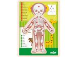 Puzzle "Corpo Umano"" - Ragazza It"
