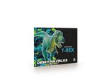 Schede Numeriche Oxybag Premium Dinosaur