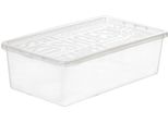 Plast Team19810800 Plast Team Shoe Box Basic Box, Small