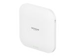 Netgear WAX620-100EUS WL-AP Netgear WAX620-100EUS Wireless Access Point