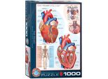 Eurographics Puzzle Das Herz, Anatomie, 1000 Teile, 68 X 48 Cm, 6000-0257