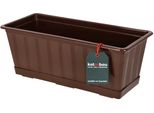 Kotarbau® Fioriera Con Guscio Marrone 40 X 18 X 15 Cm Fioriera