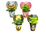 Set Di Piante Da Appartamento Dal Cuore Esotico Animali 4 Piante Con Animali Ideale Come Regalo Per Le Feste Di Compleanno Dei Bambini