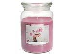 Kotarbau® Candela Profumata Grande In Vetro Con Coperchio Giardino Spa Idea Regalo Aromaterapia Candele Decorative Tempo Di Combustione Fino A 100 Ore