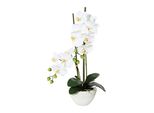Orchidea Phalaenopsis 50Cm Bianca In Ciotola Di Ceramica 14,5X8,5Cm - Pianta Artificiale Di Facile Manutenzione