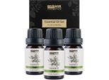 Brubaker Set Di 3 Oli Di Salvia - Esami, Situazioni Stressanti E Rafforzamento Della Memoria - Set Regalo Di Oli Essenziali Per Aromaterapia 3 X 10 Ml Di Olio Di Salvia Naturale E Vegano