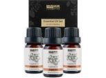 Brubaker Set Di 3 Oli Di Argan - Capelli Sani, Ciglia Lunghe E Pelle Fantastica - Set Regalo Di Oli Essenziali 3 X 10 Ml Di Olio Di Argan Naturale E Vegano