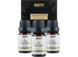 Brubaker Set Di 3 Oli Di Rosmarino - Concentrazione, Creatività E Miglioramento Dell'aria - Set Regalo Di Oli Essenziali Per Aromaterapia 3 X 10 Ml Di Olio Di Rosmarino Naturale E Vegano