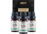 Brubaker Set Di 3 Oli Di Cedro - Forza, Relax E Respiro Libero - Set Regalo Di Oli Essenziali Per Aromaterapia 3 X 10 Ml Di Olio Di Cedro Naturale E Vegano