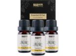 Brubaker Set Di 3 Oli Di Ylang-Ylang - Afrodisiaco, Di Buon Umore E Rilassante - Set Regalo Di Oli Essenziali Per Aromaterapia 3 X 10 Ml Naturale E Vegan