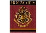 Coperta Grande In Pile 220Gsm 120X150 Harry Potter