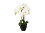 Gasper Orchidea Farfalla - Phalenopsis Bianca 4 Fiori In Vaso Di Resina Nera 55 Cm - Piante Artificiali