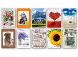 Zep Mini Stock Album 20 Foto 11X16 Cm Assortite