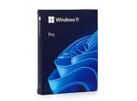 Windows Pro 11 64Bit Fpp Usb Tedesco
