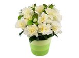 Azalea Crema In Vaso Di Ceramica 25×25 Cm