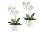 Set Di 2 Orchidee Phalaenopsis Bianche 27 Cm Real Touch In Un Elegante Vaso Di Ceramica