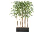 Pianta Artificiale Ficus Benjamina 160 Cm Come Divisorio In Una Scatola Di Legno 60X12X20 Cm