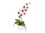 Orchidea Phalaenopsis 60 Cm - Pianta Artificiale Con 9 Fiori In Bianco-Viola, Vaso In Ceramica 13 Cm