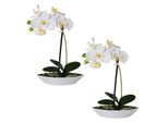 Set Di 2 Orchidee Phalaenopsis In Ciotola Ovale 30 Cm, Bianco - Decorazione Floreale Artificiale