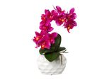Orchidea Phalaenopsis In Vaso Di Ceramica 33Cm Viola Pianta Artificiale Real Touch Facile Da Curare