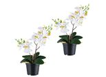 Set Di 2 Orchidee Phalaenopsis Bianche 28 Cm - Pianta Artificiale In Vaso Real Touch
