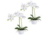 Set Di 2 Piante Artificiali Di Phalaenopsis Da 33 Cm In Vaso Di Melamina Bianco - Real Touch Orchid