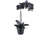 Orchidea Phalaenopsis 48 Cm Nera, Pianta Artificiale Real Touch Con 7 Fiori E 4 Foglie