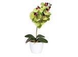 Set Di 2 Orchidee Phalaenopsis 40 Cm In Vaso Di Ceramica 11 Cm - Pianta Artificiale Di Facile Manutenzione