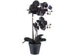 Orchidea Phalaenopsis 53 Cm In Nero, 10 Fiori, Pianta Artificiale Real Touch In Vaso
