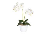 Set Di 2 Orchidee Phalaenopsis Bianche 50 Cm, Pianta Artificiale In Vaso Decorativo Di Ceramica 11 Cm